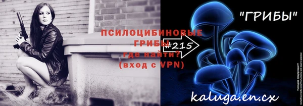 apvp Верея