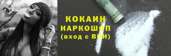 индика Бронницы