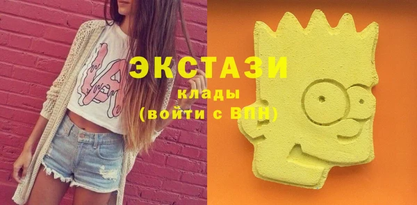 индика Бронницы