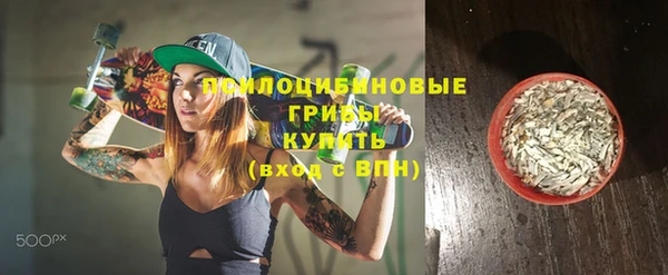 индика Бронницы