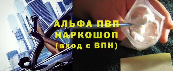 индика Бронницы