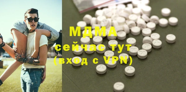 индика Бронницы