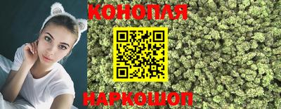 прущие грибы Чебоксары