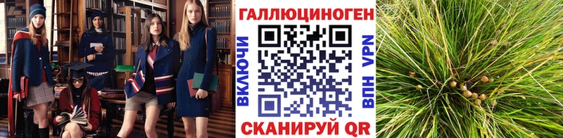 Галлюциногенные грибы мухоморы  как найти   Нерюнгри 