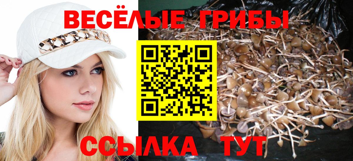 Галлюциногенные грибы мицелий  Вход с VPN  Нерюнгри 